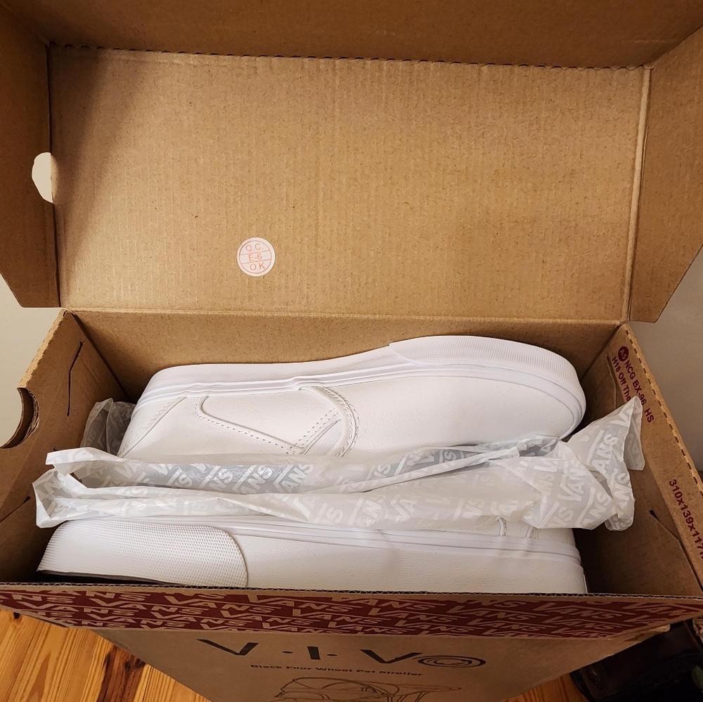 Vans Asher Canvas - White